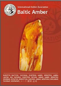 Baltic Amber Book